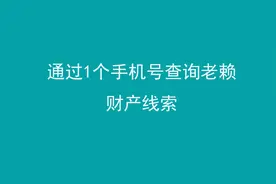 通过1个手机号查询老赖财产线索图片