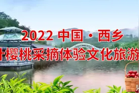 倒计时2天！2022西乡茶叶樱桃采摘体验文化旅游活动即将启幕图片