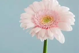 努力的女人最美，女人努力生活的正能量的句子，霸气十足图片