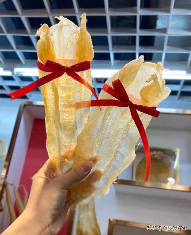 竹叶鱼胶的功效与作用 2026年竹叶胶是很差的鱼胶吗