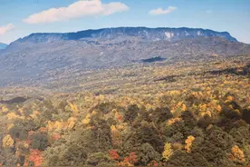 【自然生态】李后强：让“时间消失”的中国桌山图片