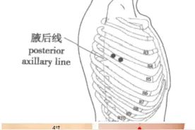 自我按摩出美丽容颜之“瘦腰”图片