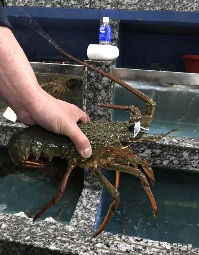 40头的花胶是几级 2025年花胶40头是什么意思?