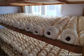 新春走基层丨小枣糕托起致富梦图片