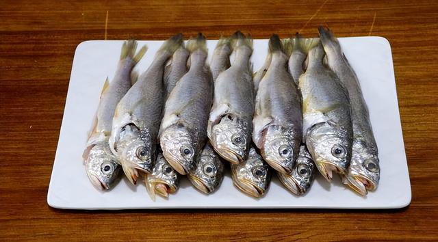 什么叫黄花鱼和黄鱼有什么区别 2025年什么叫黄花鱼和黄鱼有什么区别图