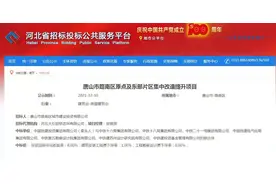 重磅！八家央企联合体成功中标路南区原点及东部片区集中改造提升项目图片