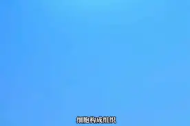肽对细胞的四大作用图片