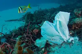 大海到底有多可怕？发生在海洋里诡异的危险，足以让人“胆寒”图片