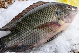 《三体》武器系统大揭秘图片