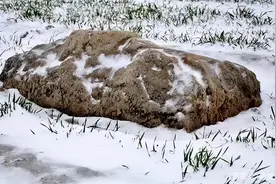 永不积雪的土堆竟是古墓，盗墓贼进去还遇女鬼？其中有什么秘密图片