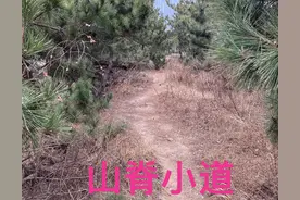 浮山游，山景秀丽！可惜围栏圈满处，浮山变封山图片