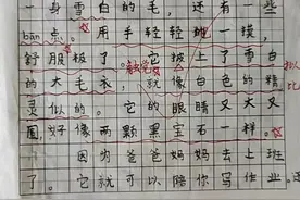 二年级下册第七单元考试优秀写话：我喜欢的动物图片