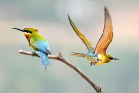 生不出来孩子，是谁的错？图片