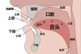 平翘舌怎么发才算标准？@所有人图片