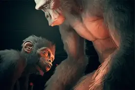 同样是杂交，为何老虎和狮子可以，人猿杂交就注定失败？图片