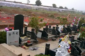 “坟前三不种，床上四不留”，这句俗语，后人感叹过来人智慧高图片