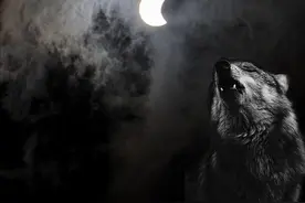 2022年首个“超级血月”上演！为何有人感到害怕？最佳观测点在哪图片