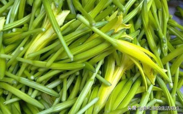 踏春必备“百草图”之三，身边那些有价值的野草，你能认识几种？