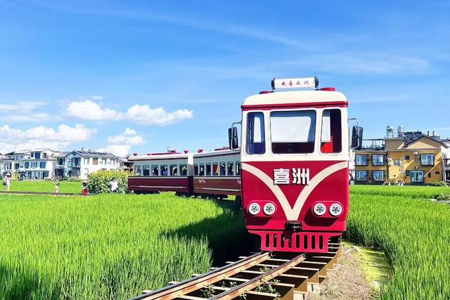 大理暑期文旅市场亮点纷呈