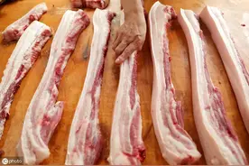 养狗的你千万要进来看看：狗狗究竟能不能吃猪肉?图片