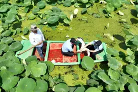 国家一级保护动物！宝应民警连续救助四只东方白鹳图片