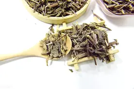 张锡纯医按：薄荷在古代竟是种蔬菜？张锡纯论薄荷在经方中的使用图片