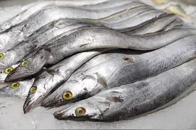 起底带鱼的腥味来源，别再冤枉“鱼鳞”了，它真不是罪魁祸首图片