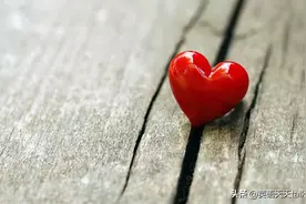 love是“爱情”，rat是“老鼠”，英语love rat到底是什么意思呢？图片