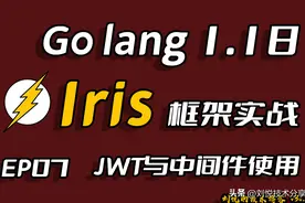 GolangWeb框架Iris项目实战-JWT和中间件(Middleware)的使用EP07图片