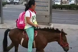 外国人提问：中国有汽车吗？看中国网友如何搞笑回复图片
