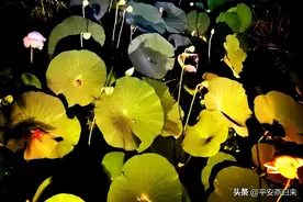 保安在保安室搂抱抚摸小学生20多秒钟，属治安违法还是强制猥亵？图片