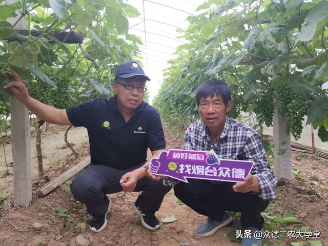 鍖楁柟閬块洦妫氶槼鍏夌帿鐟拌悓鑺借嚦鑺卞簭鍒嗙鏈熺鐞嗘妧鏈紙涓嬶級