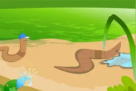 蚯蚓断裂成两条，它的意识究竟在哪边？真的存在“一心二用”？图片