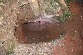 浮梁两男子盗掘清代古墓，被村民举报！结果双双被抓图片