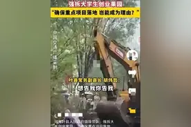 动真格了！河南叶县政府强拆后续：相关通话记录曝出 更多内容曝光图片