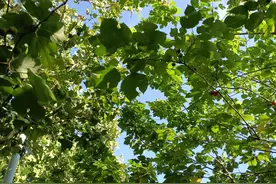 女生最容易感动的五个细节，恋爱细节决定成败，男生别不知图片