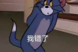 表情包｜我错了图片