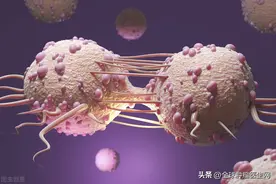 攻克癌症的新希望！基于新抗原的个体化免疫疗法宣战5大实体瘤图片