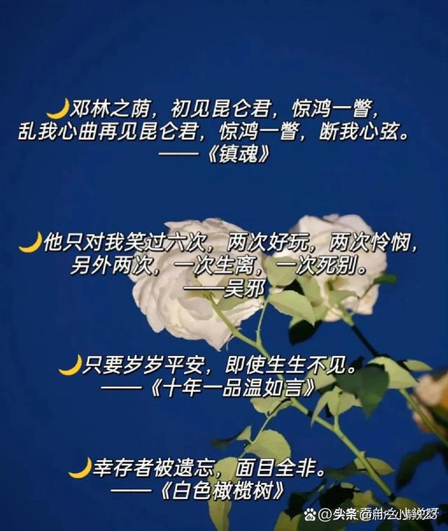 小说里把你虐哭的句子，句句都是遗憾！！