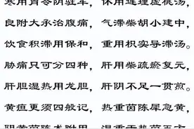 中医辨证口诀，还有怎么用方的图片