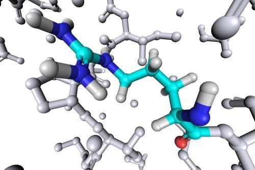 生命之源在太空？隼鸟二号样本中发现氨基酸，或与生命诞生有关