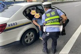 红火蚁咬人至昏迷，却被“疯子”蚁灭团，能否引进疯蚁消灭火蚁？图片