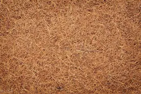 椰棕床垫的优缺点，适宜什么样的人群图片