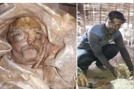 咋回事？印度出现多只“人脸山羊”，是基因变异，还是杂交产物？图片