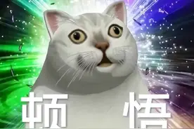 RNG“女粉丝”被曝装死，讣告都发了，把全网玩家骗得团团转？图片