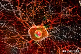 除了下肢麻、木、凉、蚁走感，出现这10种症状，也可能得了糖尿病神经病变图片