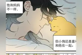 捡到东西的狼：原来我和他一样，我可以留在他身边了图片