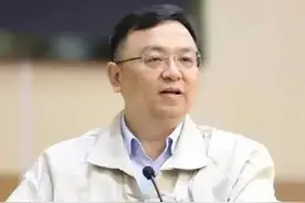 王传福：一个给投资者带来丰厚回报的贵人图片
