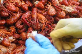 全文来了！中国小龙虾产业发展报告（2023）发布！图片