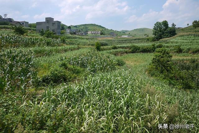 《滇缅公路北盘江》——滇藏万里行(第十五天)